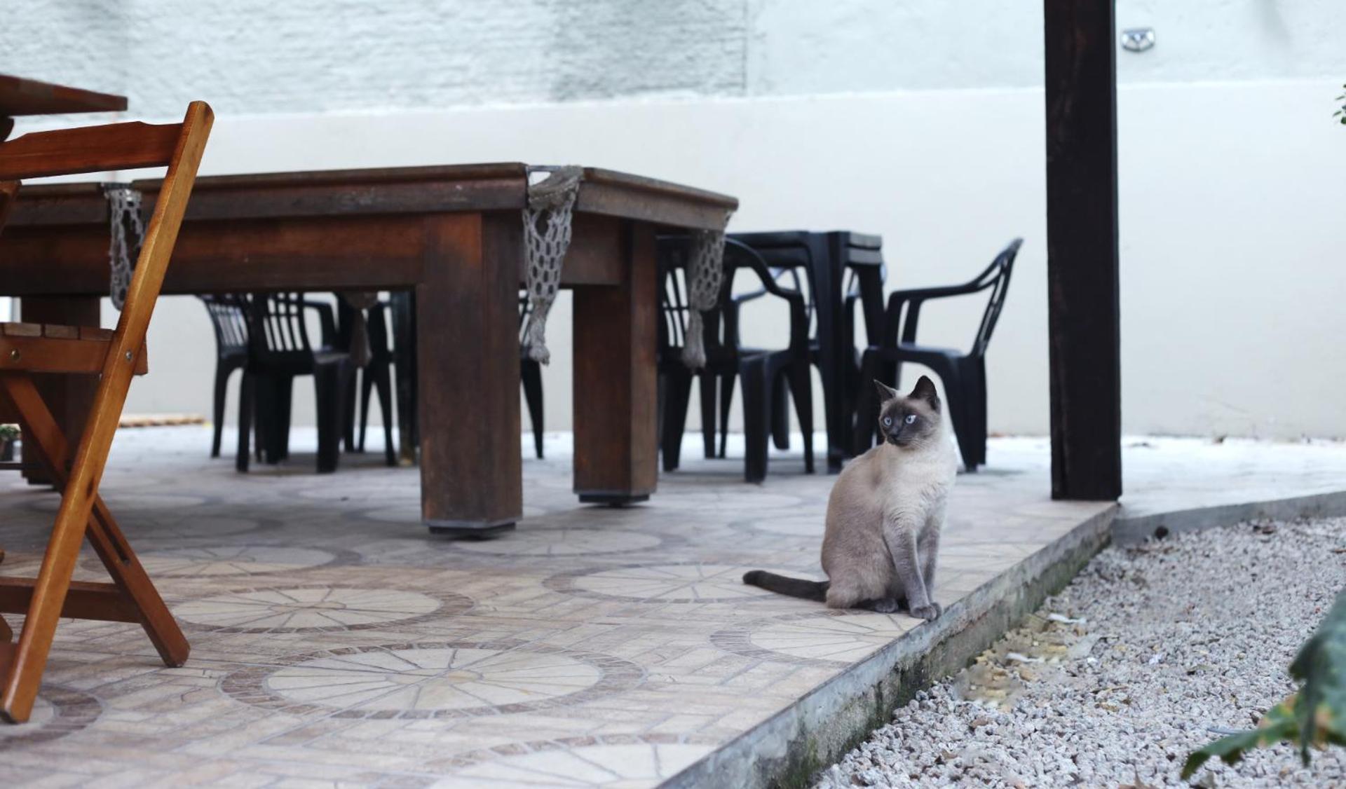 Sagui Hostel Florianópolis المظهر الخارجي الصورة