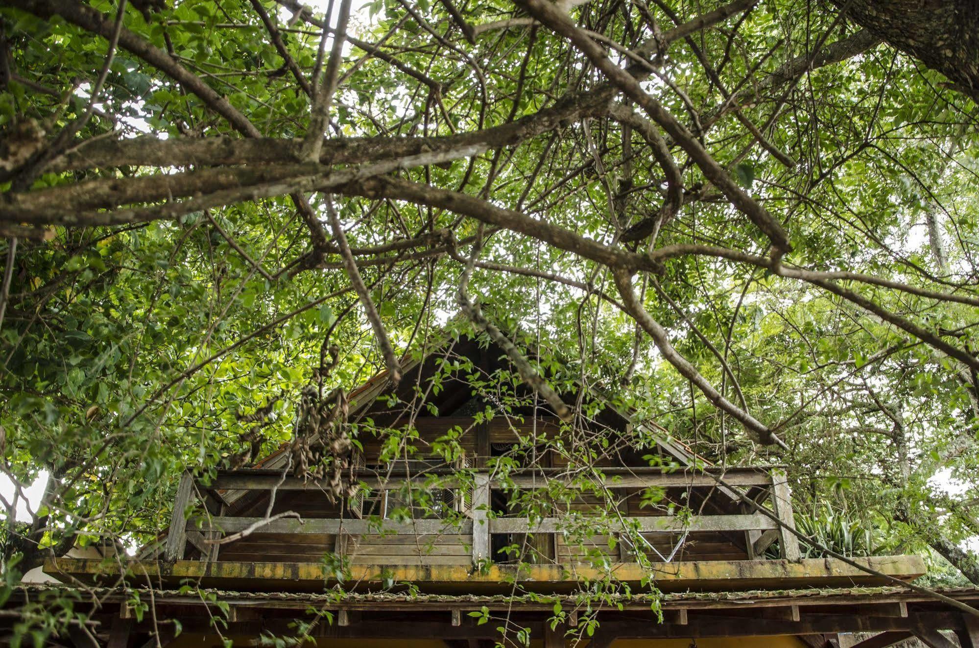 Sagui Hostel Florianópolis المظهر الخارجي الصورة